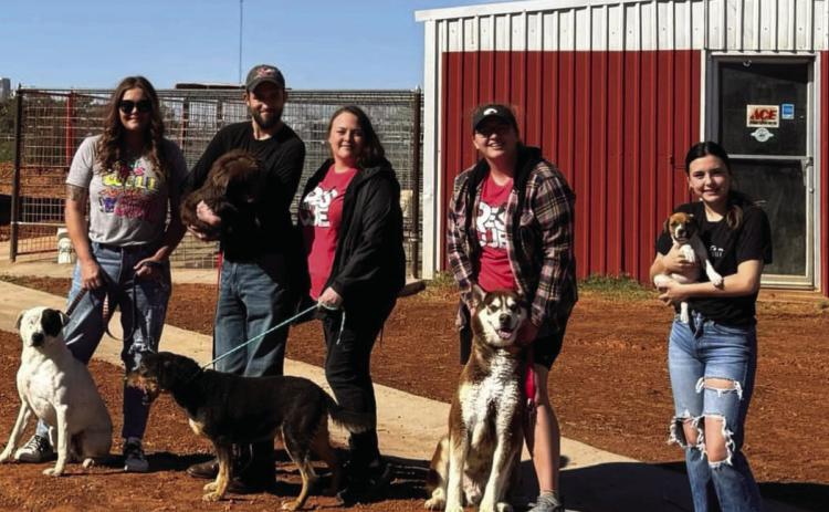 Wellington Rescue Shelter expands operations as Duke pursues her dreams