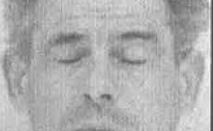 Renard Lee Villareal
