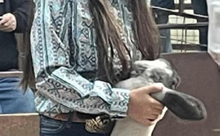Collingsworth County Livestock Show in the books