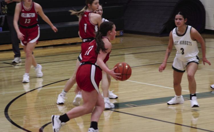 Skyrockets, Lady Rockets bargain for basketball action