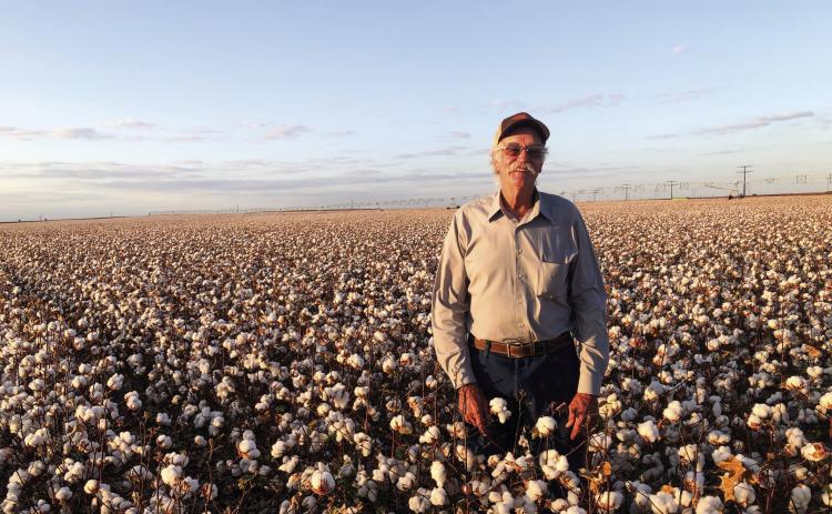 Peters harvests first Farmers Co-Op cotton bale of 2024