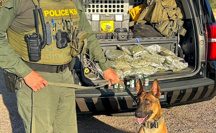 Memphis K-9 alerts on marijuana, eight pounds seized