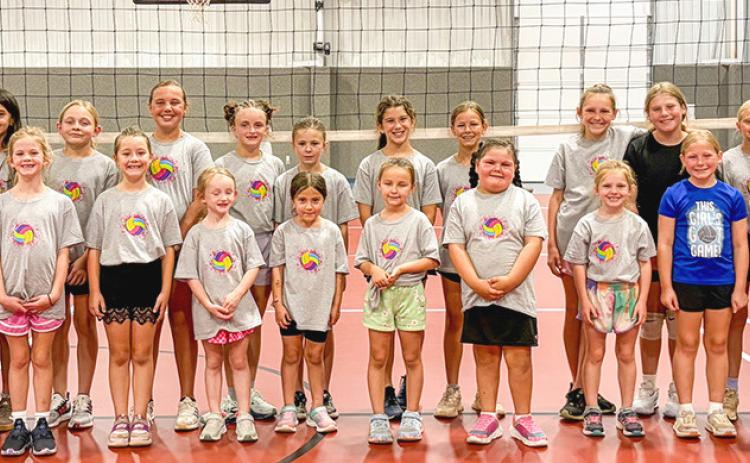Volleyball camp draws large group to Wellington