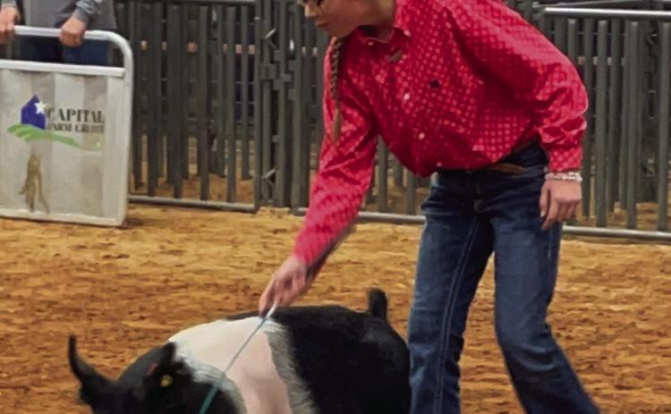 Brylnn Kemp, a Wellington Elementary School fifth grader, practices exhibiting her swine project at the recent Wheeler Jackpot Show. Kemp will compete with other local youth in the upcoming Collingsworth County Livestock Show Saturday, Jan. 14. Courtesy Photos