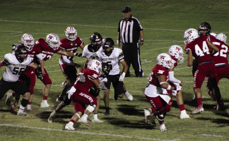 Wellington beats up Wheeler