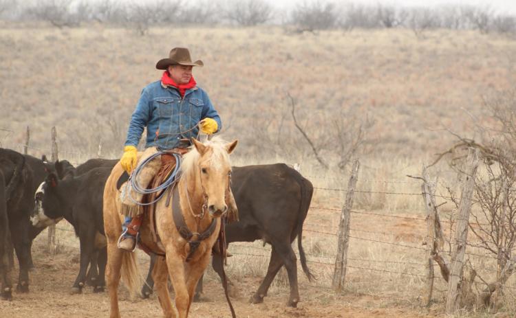 Since February 1986, Byron Bell has embraced the cowboy way of life on Collingsworth County’s historic Mill Iron Ranch. Bell served as ranch foreman since 1991. Molly A. Sims Photography