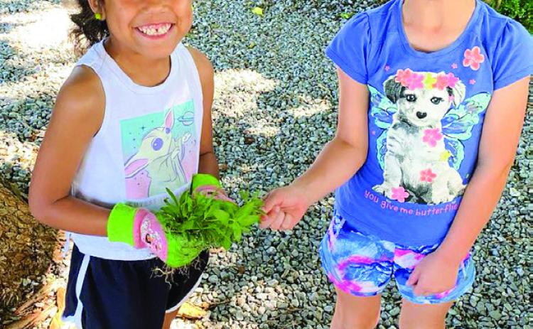 Childress Methodist Children’s Ministry plants bee-friendly flowers