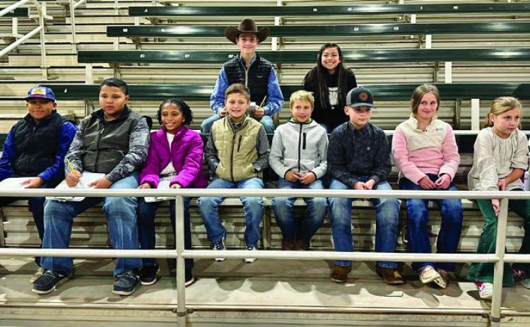 Childress County 4-Hers compete in the Rolling Plains District 3 2023 Ag Product Identification Contest and Livestock Skill-A-Thon Thursday, Dec. 7 in Graham. Top row, from left: Austin Bradley, Esme Estrada. Bottom row, from left: Bryson Session, Blaze Session, Brantly Session, Kole Eikman, Axle Whitaker, Kade Haga, Olivia Wyatt, Gracie Eikman. Courtesy Photo