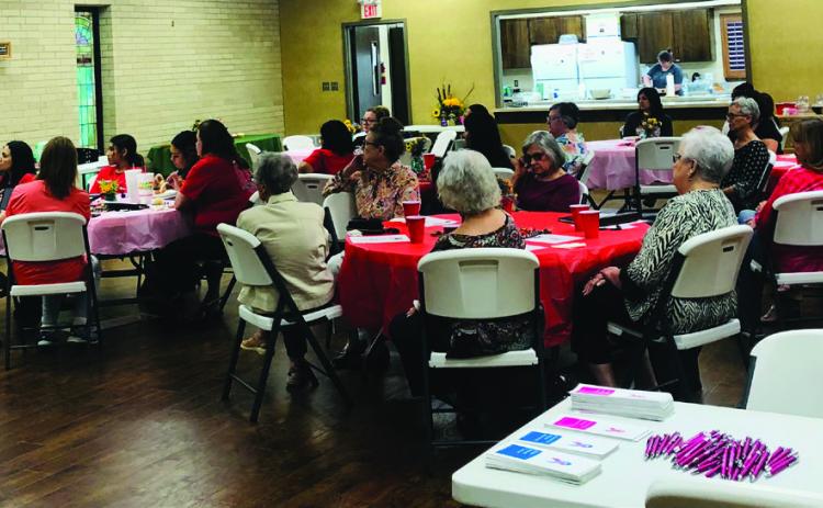 Wellington Professional Women host breast health program