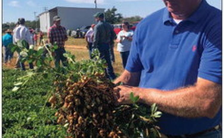 AgriLife Extension hosts 2023 Collingsworth County Crop Tour
