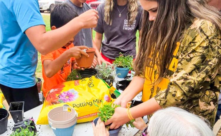 Collingsworth 4-H shares plant project