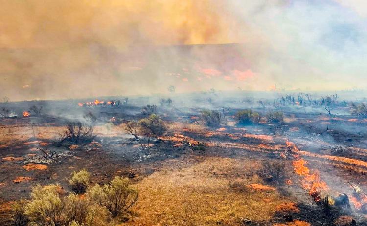 Dozens of fires break out across the Texas Panhandle Friday, May 15-Saturday, May 16, including the Baylor Creek Fire in Childress County, which consumed 195 acres. TURKEY VOLUNTEER FIRE DEPARTMENT