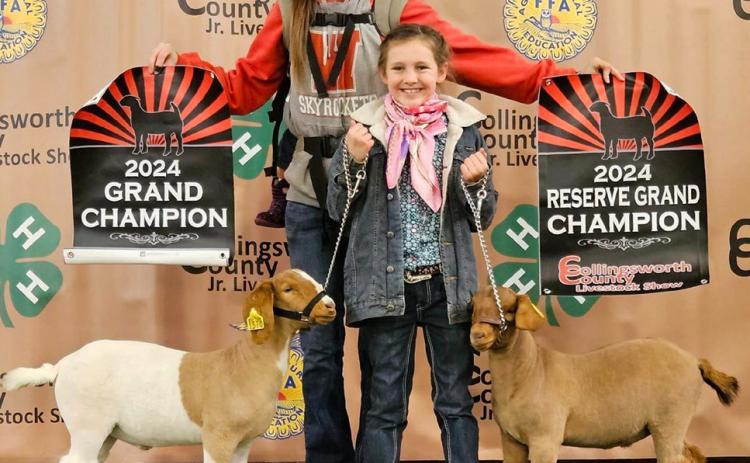 Wellington Elementary School third-grader Raylie Sims earns Grand Champion Goat and Reserve Champion Goat at the 2024 Collingsworth County Livestock Show Saturday, Jan. 13. Her mother, Molly Sims, displays the championship banners. For her first official livestock show, Sims also exhibited two lambs and two steers. Courtesy Photos