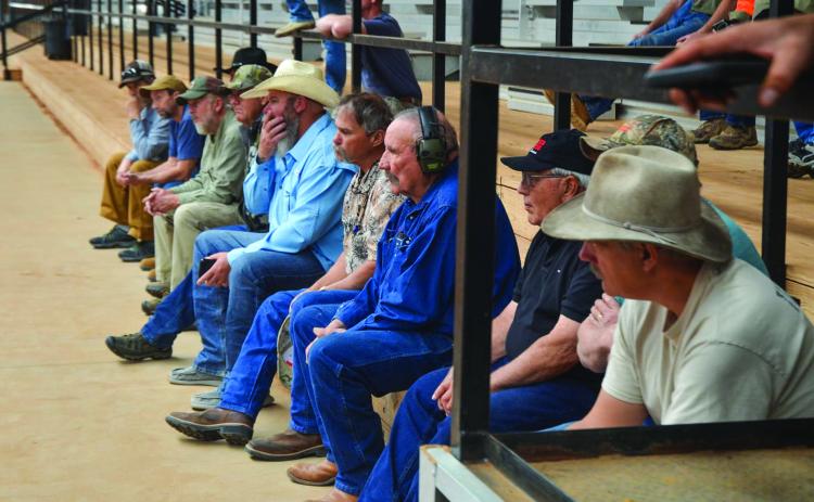TTFHA to host 2024 Spring Rendezvous in Childress