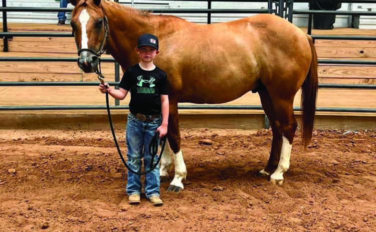 Childress County 4-H Horse Club hosts Halter Clinic