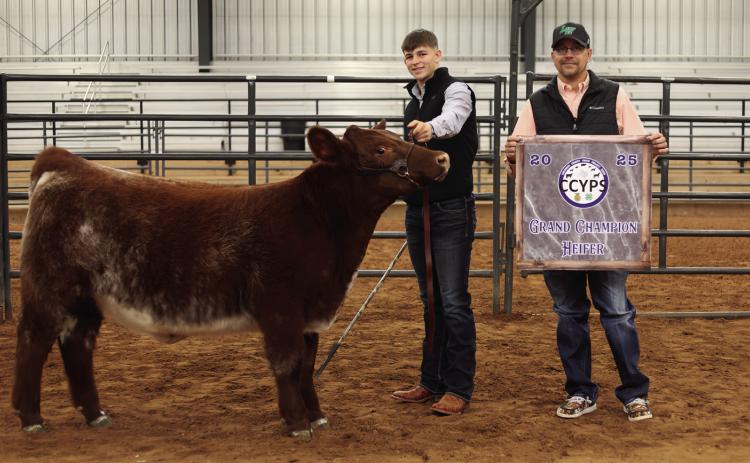 Drake Rabe exhibits the Grand Champion Heifer, purchased by Wellington State Bank, as well as the Reserve Grand Champion Heifer, purchased by First United Bank. Lane Photography