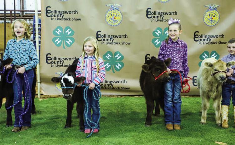 Youth exhibit projects at annual Collingsworth County Livestock Show