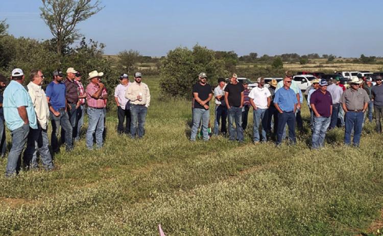 Dr. Emi Kimura, Extension Agronomist for the Rolling Plains, shares her insight on the 2022 cotton crop during the Collingsworth County farm tour Friday, Sept. 16. Photos Courtesy of Kenny Patterson