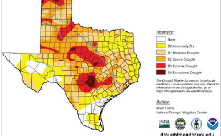 Despiterecentmoisture,the Hall County Commissioners Court approved a 29-day extension of the current burn ban Tuesday, Nov. 15, prolonging the ban through Tuesday, Dec. 13, according to Hall County Judge Ray Powell. Currently, the majority of Hall County is in Category D1 Moderate Drought, a significant decrease from only three months prior, when the county was experiencing Category D3 Extreme Drought. Graphic Courtesy of U.S. Drought Monitor