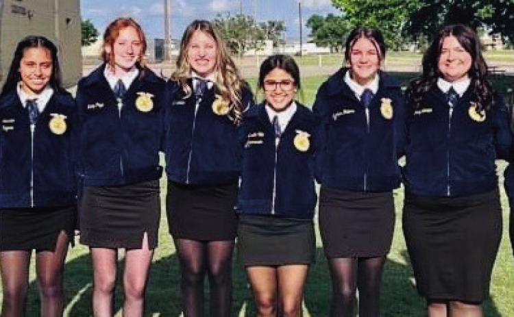 Vela, Moreno and Page advance to area FFA