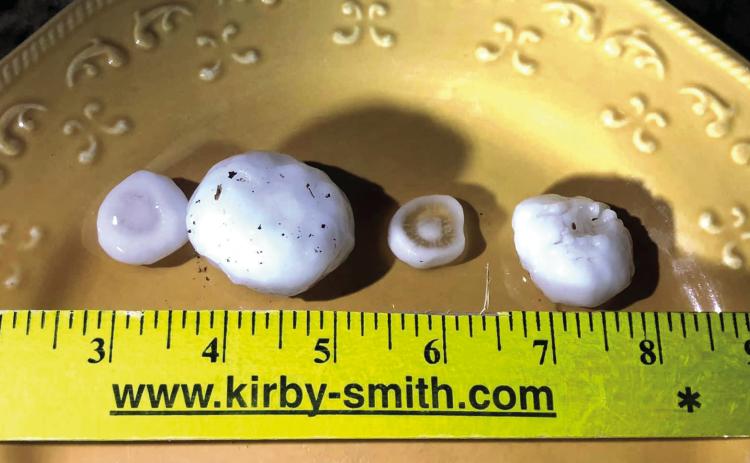 Hail, ranging up to two inches in diameter, accompanied by high-speed winds, swept Childress, Collingsworth and Hall Counties Sunday, Feb. 26, damaging multiple properties. The Red River Sun/Bev Odom