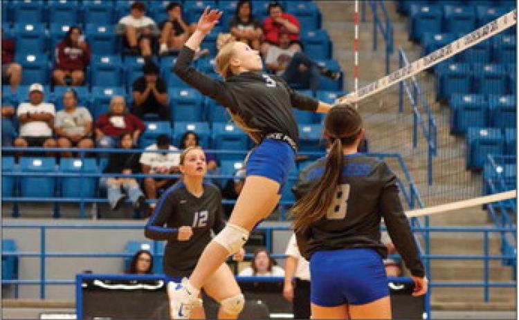 Lady Cats sting Hornets