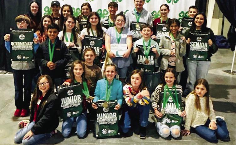 Collingsworth 4-H makes impact with Plant ID skills