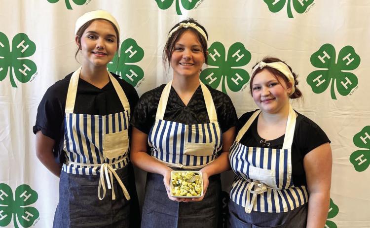 Hall County 4-H members, including the Senior team of Jordyn Altman, Hadleigh Gurley and Zada Todd, who finished top 10 in Side Dish, compete at the Food Show at the Big Fun in D1! Fall Roundup Monday, Oct. 27 at the Tri-State Fairgrounds Rex Baxter Building in Amarillo. Hall County 4-H