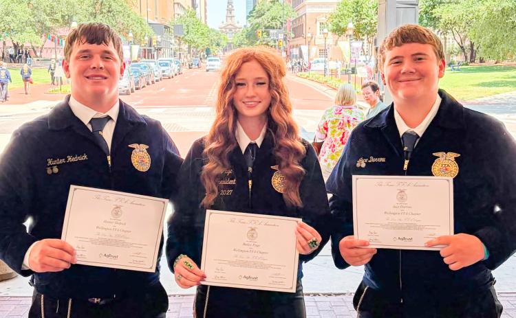 Wellington FFA accepts state distinctions