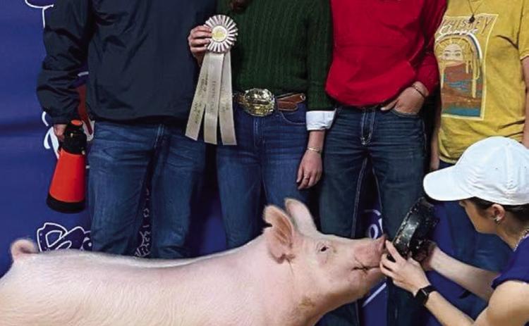 Memphis students  compete at major shows