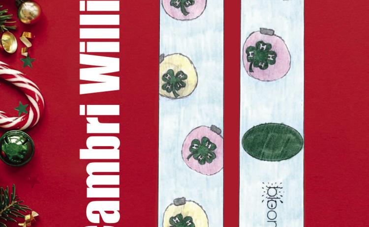 Childress’ Cambri Willis wins Texas 4-H Youth Development Foundation Christmas Sock Design Contest