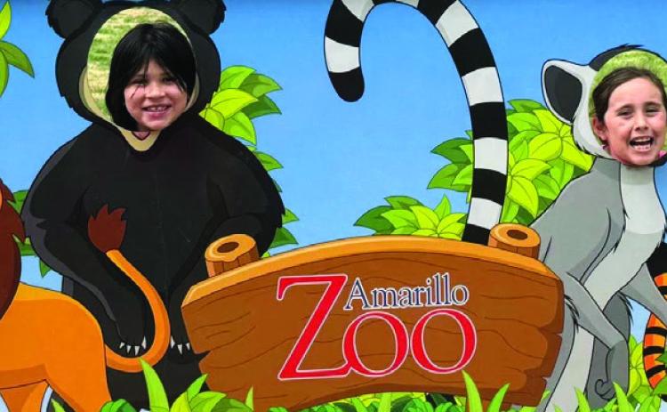 Wellington Elementary School second graders and their teaches, Debbie George and Becky Lampe, explore the Amarillo Zoo Wednesday, April 23. During the field trip, students watched Bagheera, a melanistic jaguar, trying to catch a ball in his habitat. Over 120 animals representing more than 70 species from around the world call the Amarillo Zoo home.