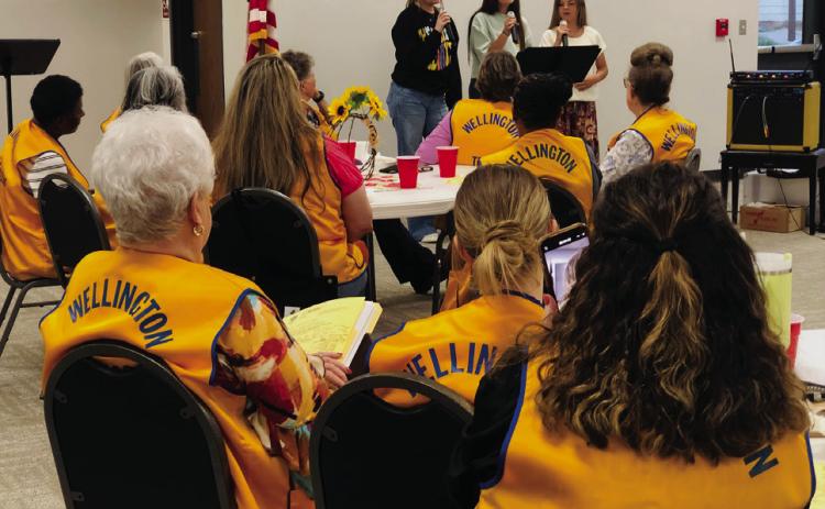 Peters sisters entertain Wellington Lions