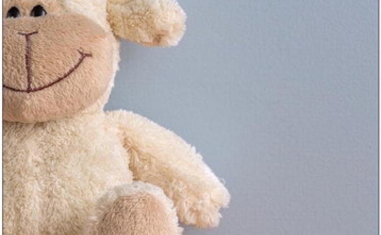 Childress County AgriLife, CRMC team up to host Babysitting Camp