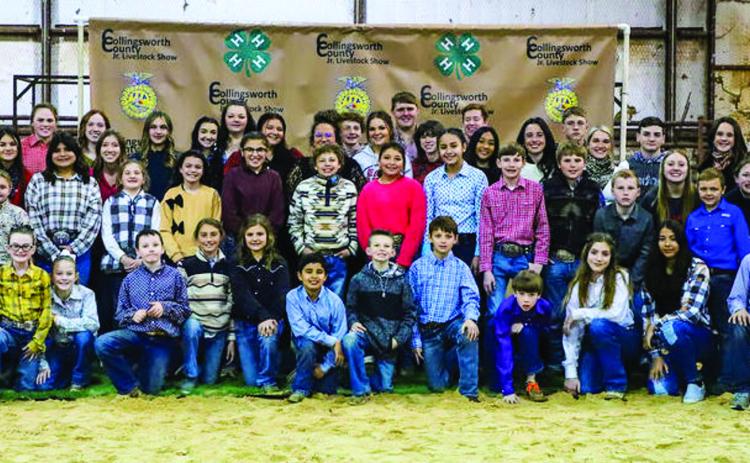 Collingsworth youth reap rewards of livestock show projects