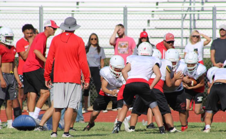 Wellington players don pads for Rocket Pride