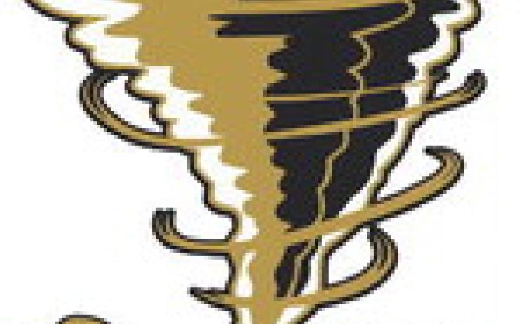 Alt Text for Image