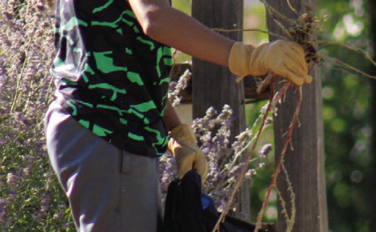 Childress County 4-H celebrates National 4-H Week