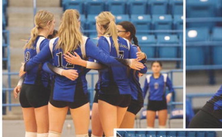 Battle of the Lady Cats