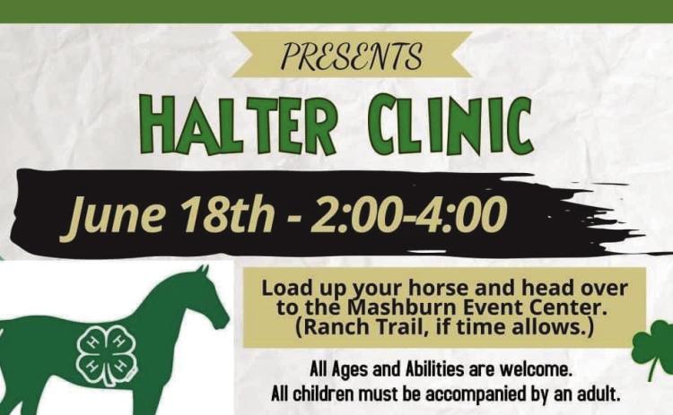 Childress 4-H Horse Club to present Halter Clinic