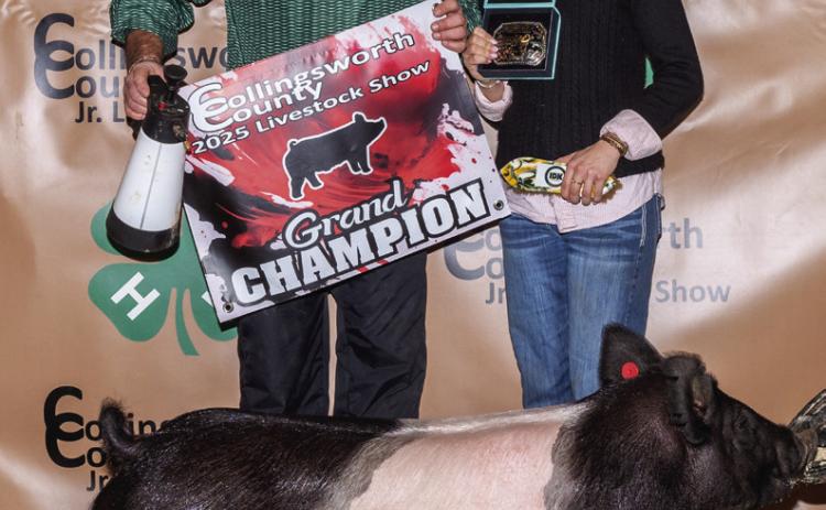 Maggie Tillman exhibits the Grand Champion Swine, assisted by her dad, Baron Tillman, and purchased by Rance Tillman at the Premium Sale.