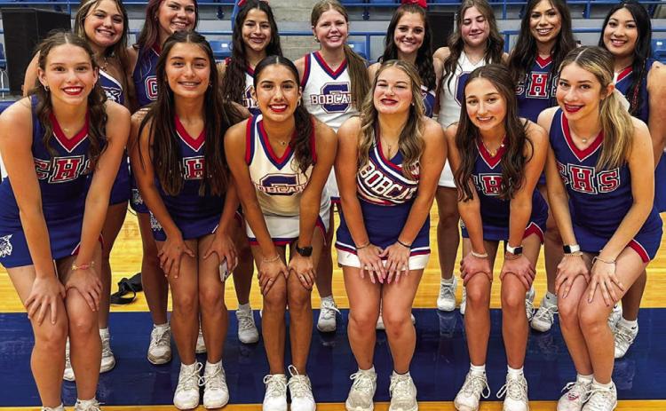 Future Lady Cats attend Mini Cheer Camp