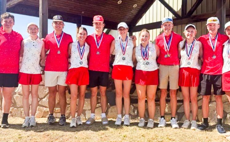 Wellington golf teams advance as runner-up champions