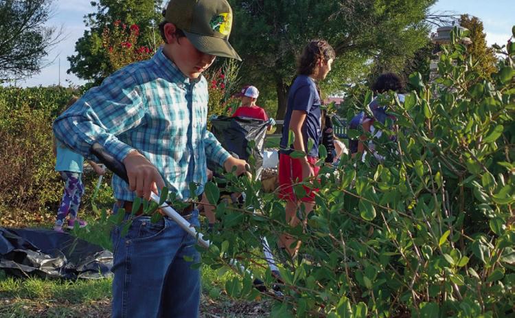 Childress County 4-H joins forces to celebrate National 4-H Week