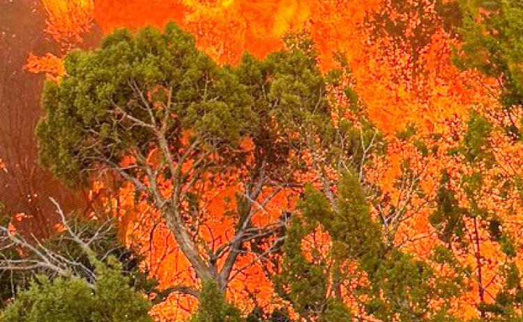 Local fire departments respond to the Ox Box Fire, which consumed over 1,000 acres in Hall County. HEDLEY VOLUNTEER FIRE DEPARTMENT