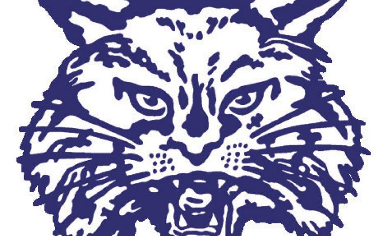 Childress’ Henderson, Lomax named to area sports media volleyball teams