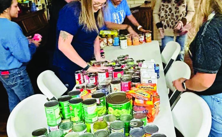 Wellington Professional Women make impact on local food pantry