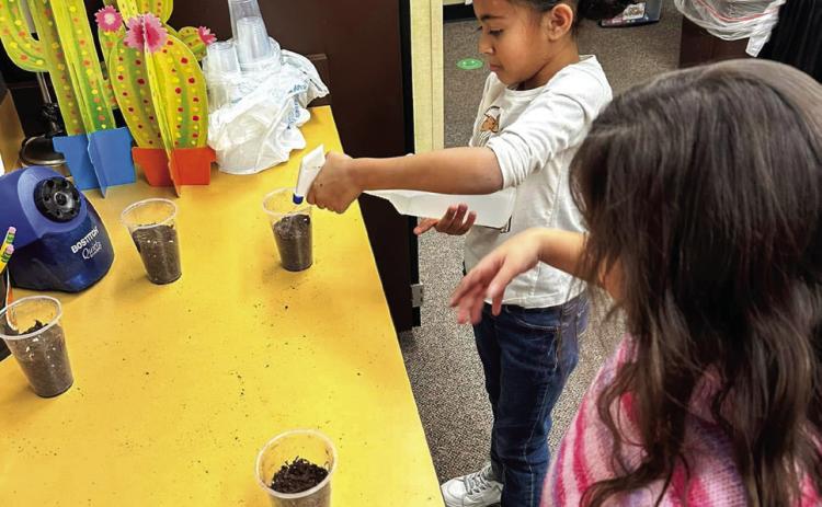 Young scientists study plant life