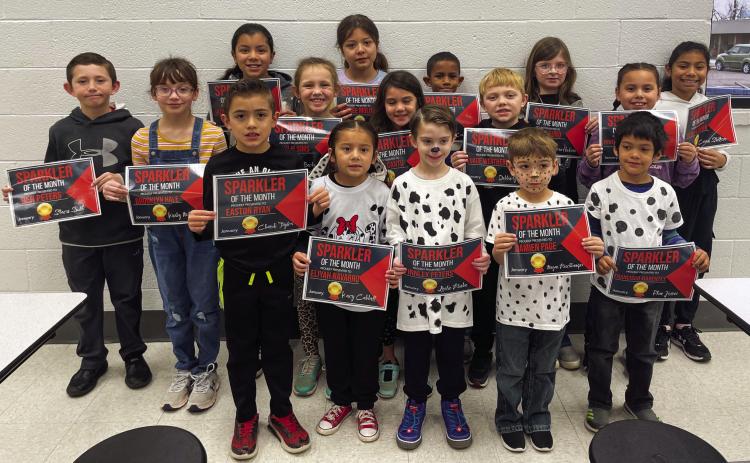 Wellington Elementary names Spectacular Sparklers