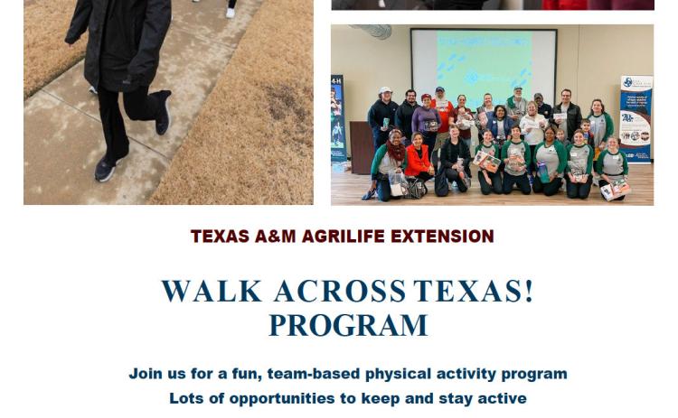 Get your steps in with Walk Across Texas!